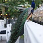 Avril 2026 : Que les choses sérieuses commencent !