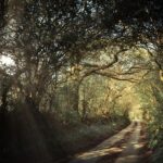 Juin 2026 : Le passage